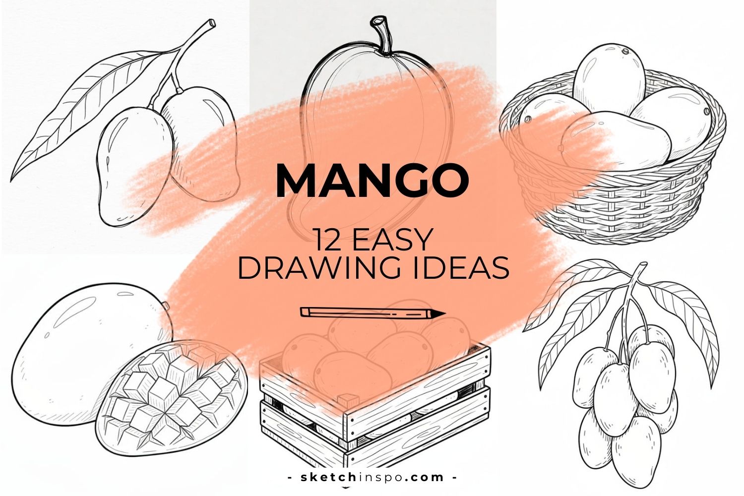 Easy Mango Fruit Drawing Ideas