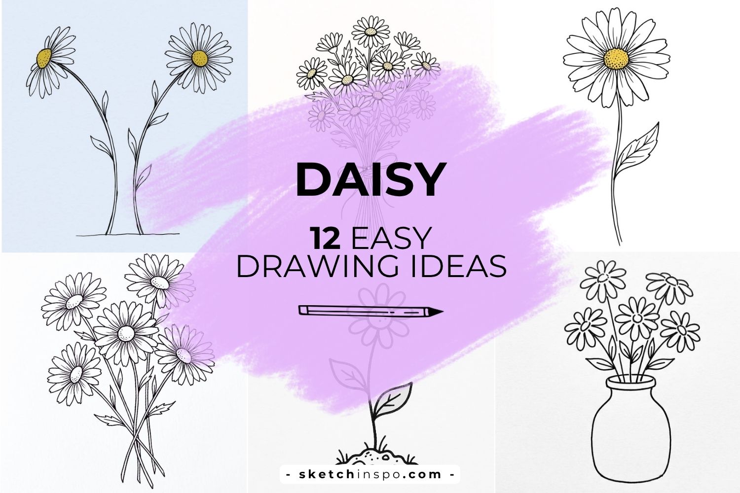 Daisy Drawing Ideas