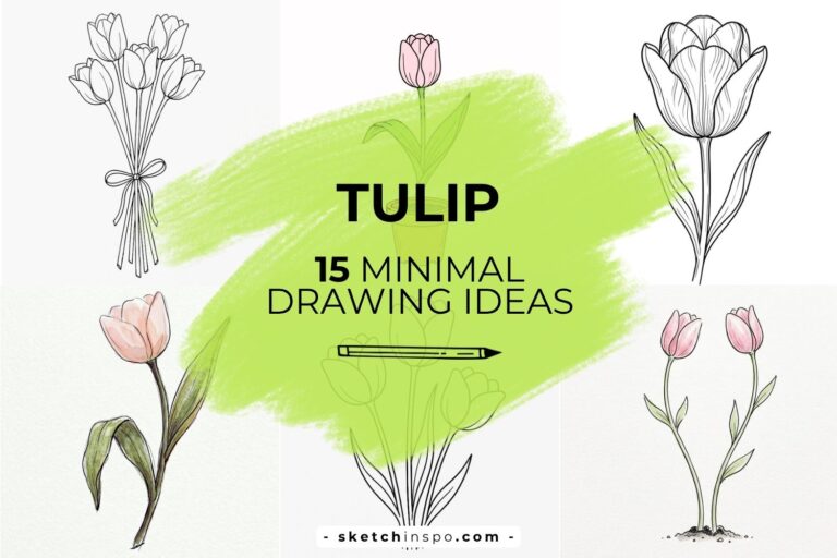 Minimalist Tulip Drawing Ideas