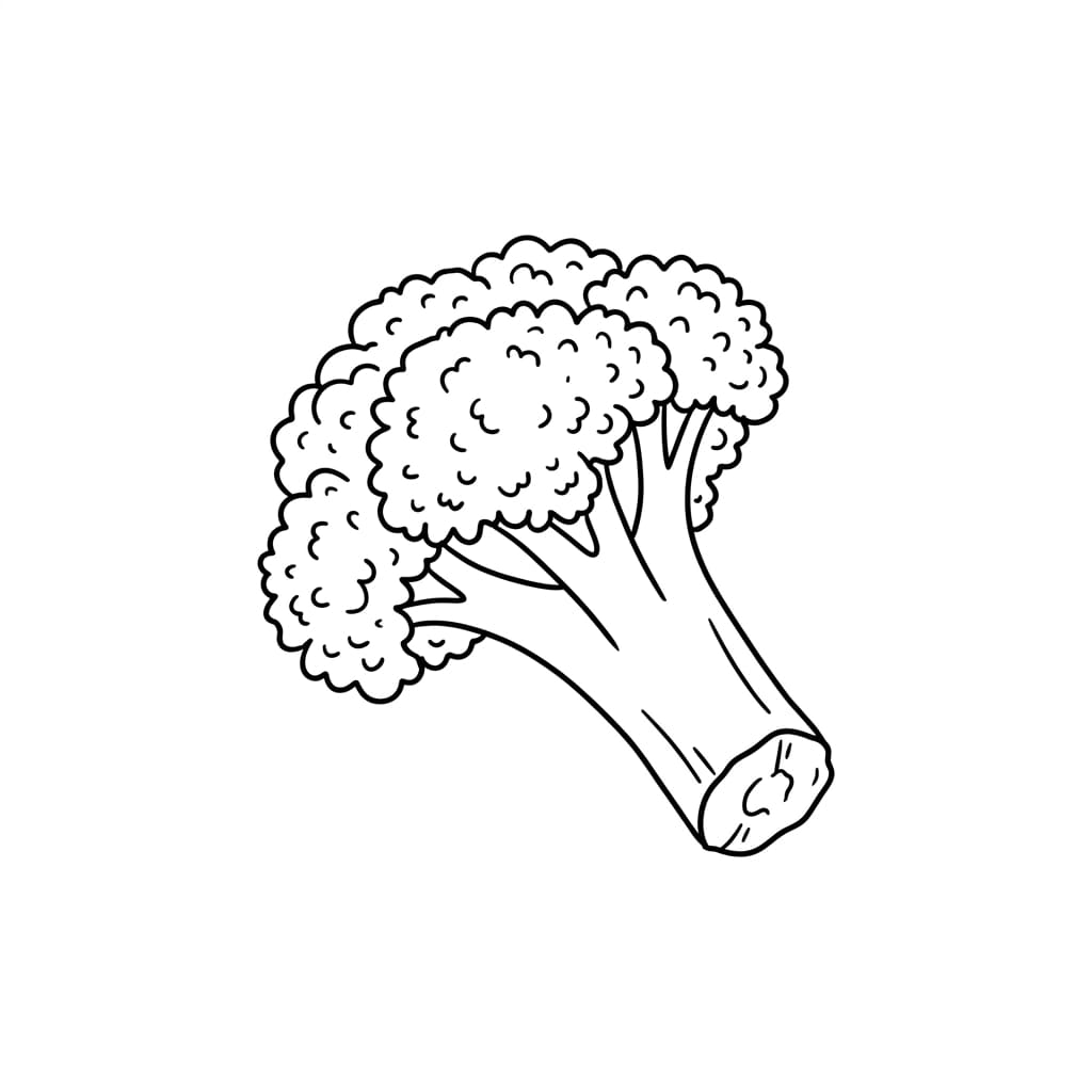 Cut Broccoli Piece drawing idea