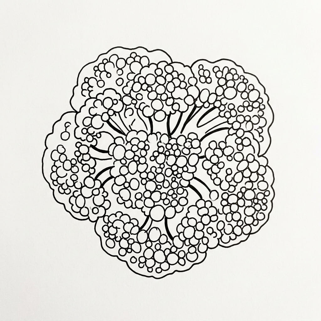 Top-Down Crown View drawing idea