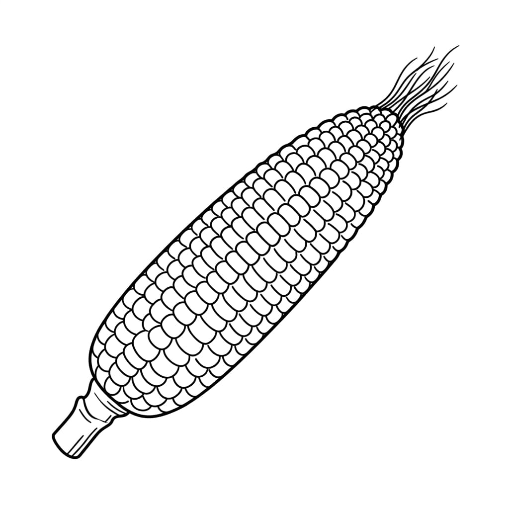 Corn Cob Side View drawing idea