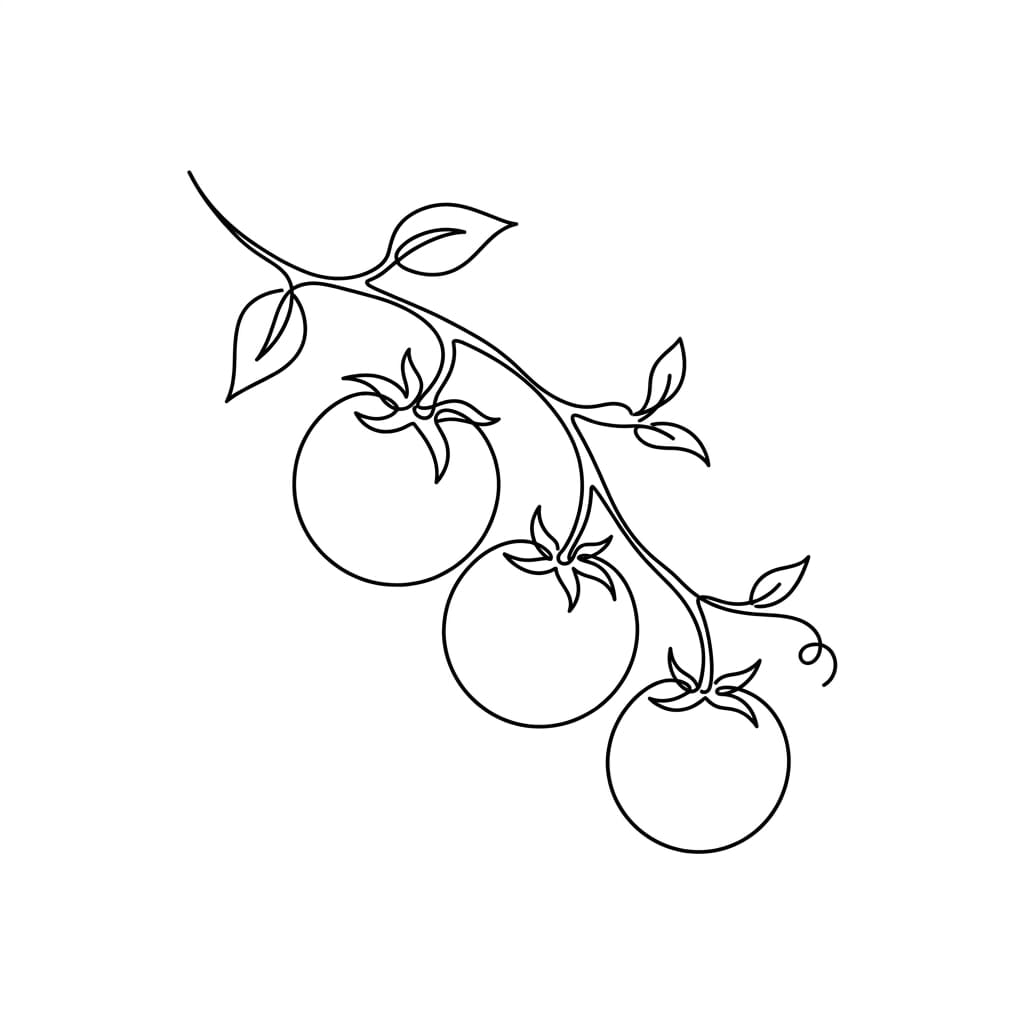 Cherry Tomato Cluster drawing idea