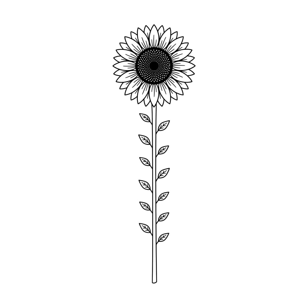 Tall Sunflower Stem drawing idea