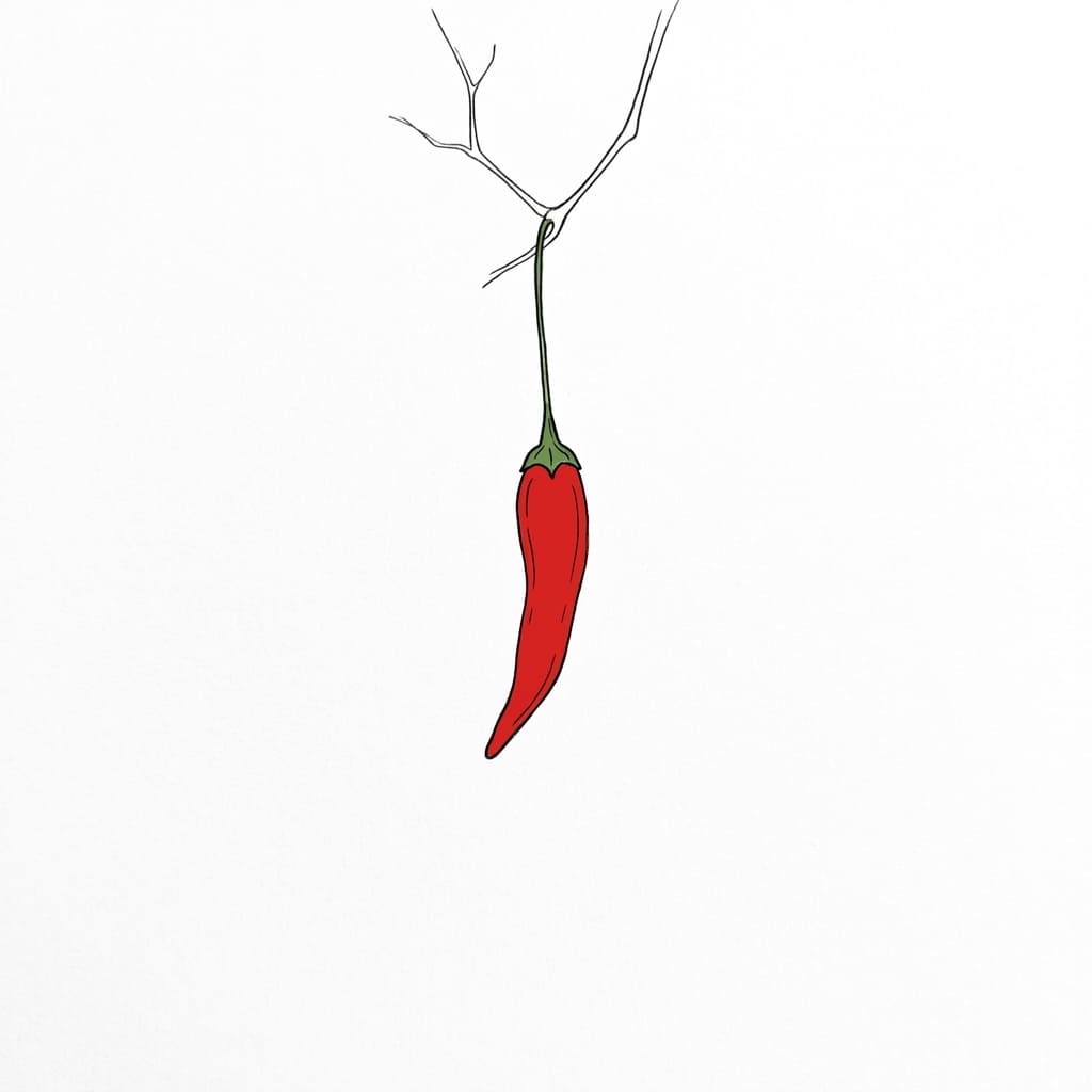 Hanging Chili drawing idea