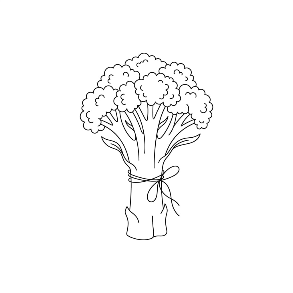 Tied Broccoli Bunch drawing idea