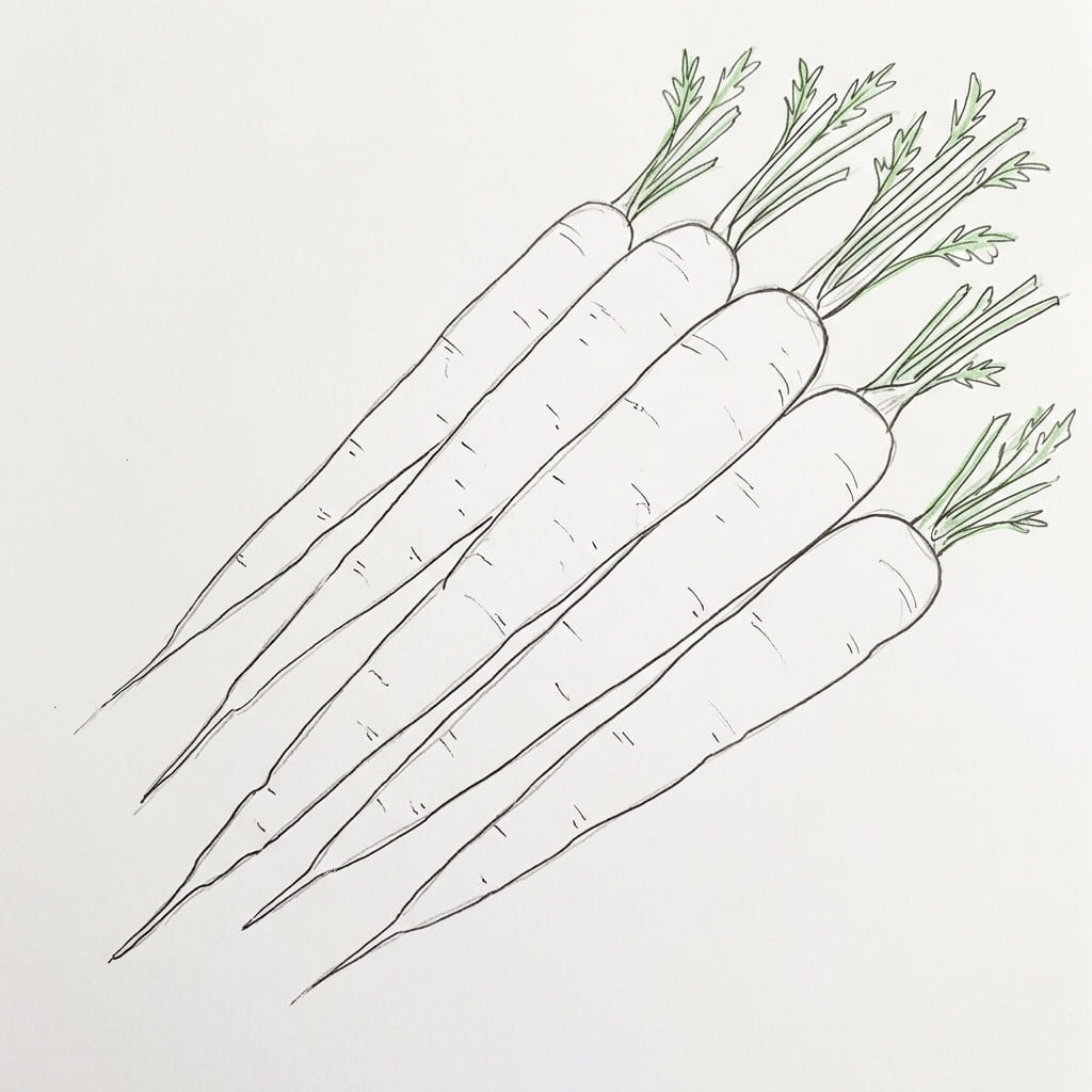 Diagonal Carrot Composition