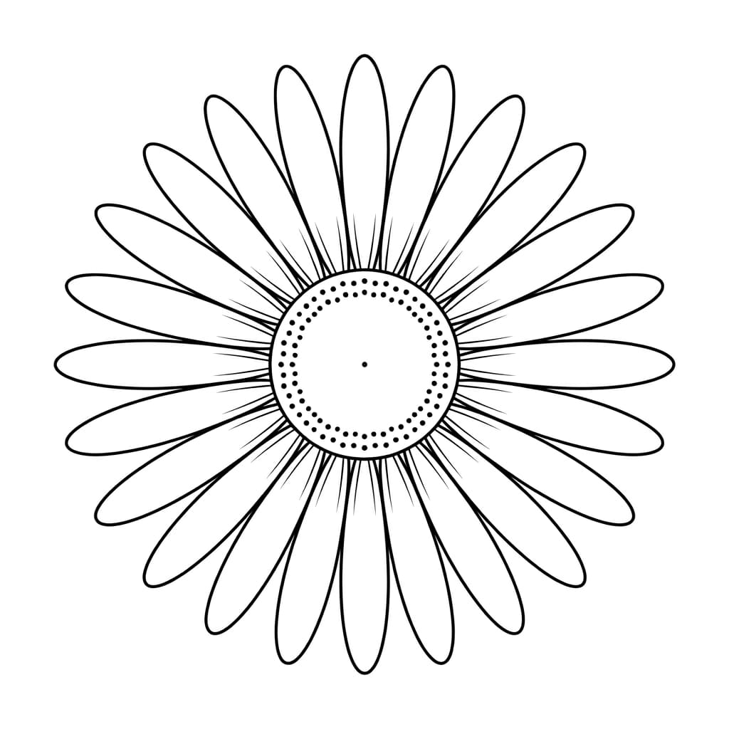 Daisy_top down view drawing idea