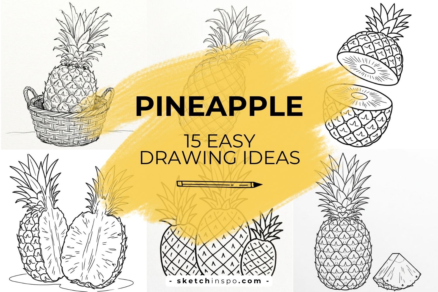 Easy Pineapple Drawing Ideas
