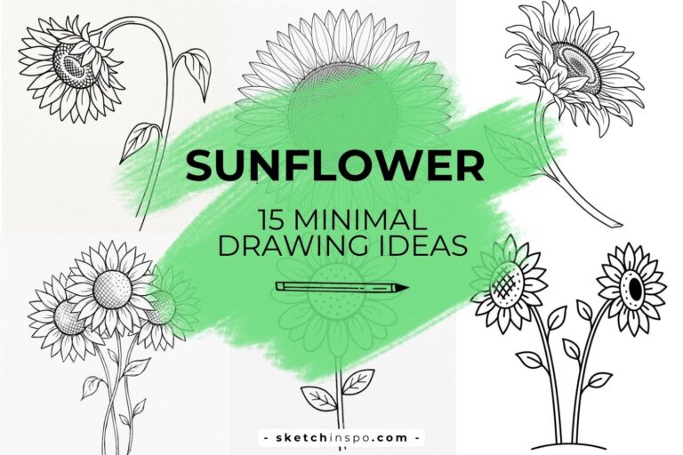 Sunflower Drawing Ideas