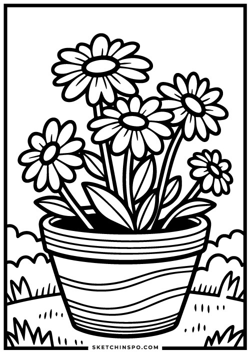 Daisy-flower-free-coloring-page