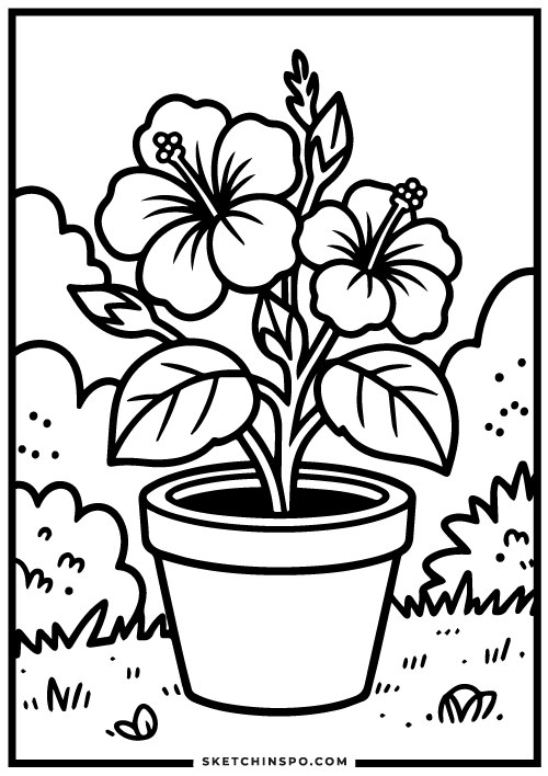 Hibiscus-flowers-free-coloring-page
