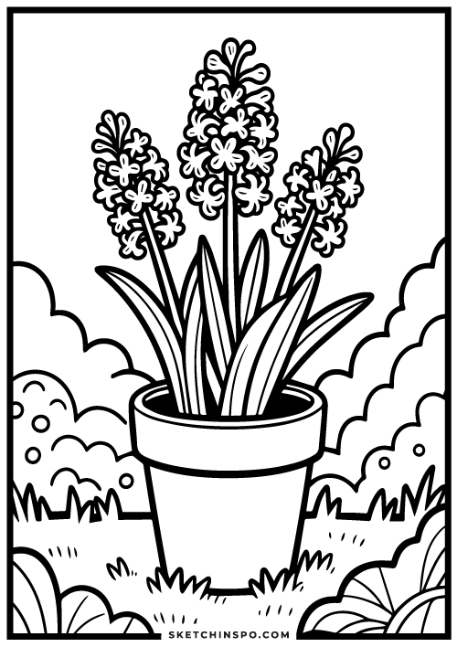 Hyacinth-flowers-free-coloring-page