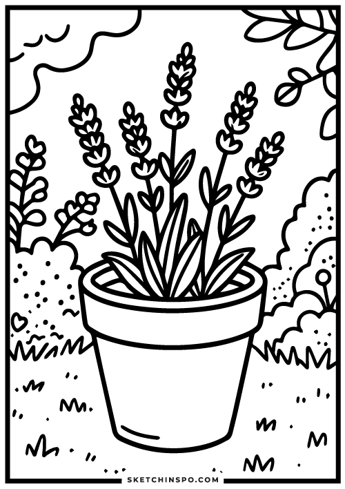 Lavender-flowers-free-coloring-page