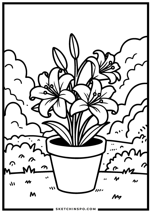Lily-flowers-free-coloring-page