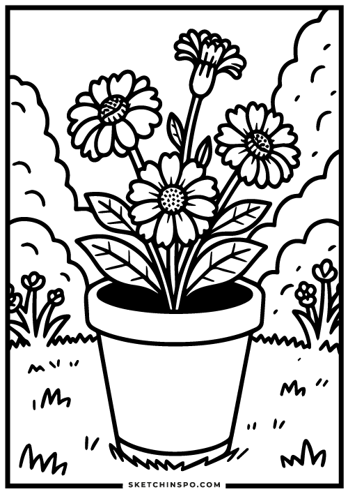 Marigold-flowers-free-coloring-page