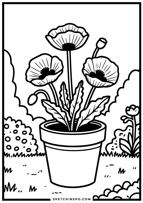 Poppy-flowers-free-coloring-page