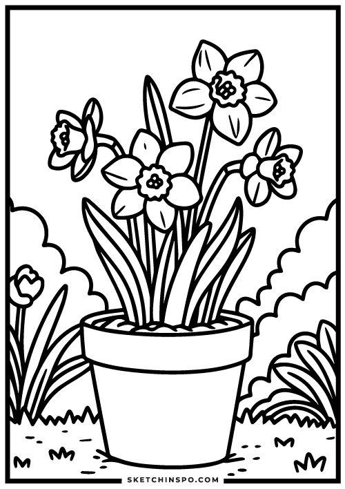 daffodil-flowers-free-coloring-page