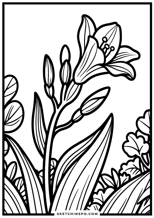 free flower coloring page 3