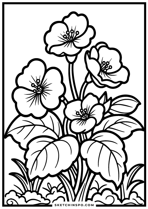 free flower coloring page 7