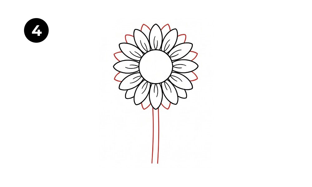 Step 4. Draw the Sunflower Stem