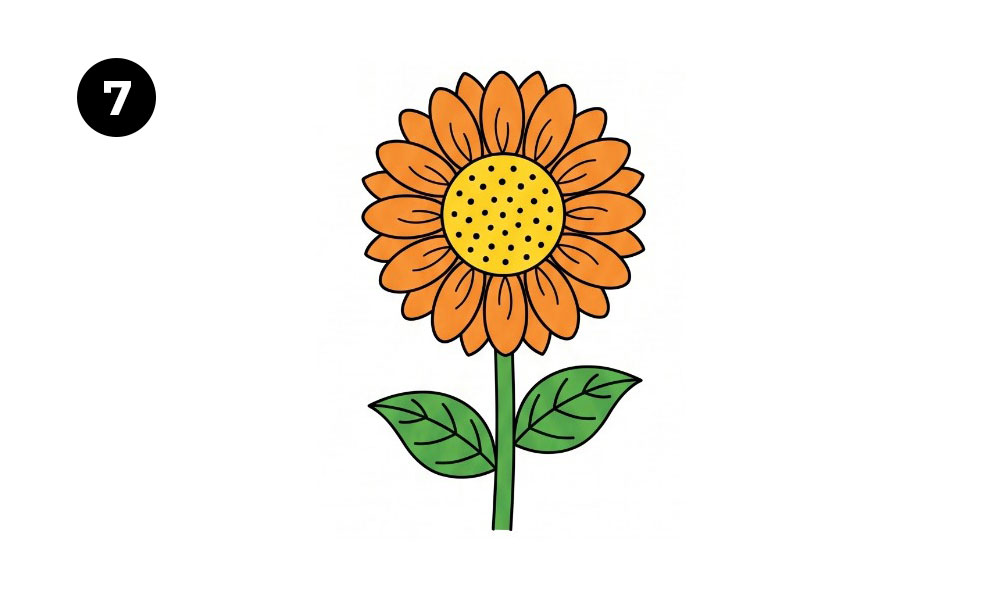 Step 7. Color the Sunflower Drawing