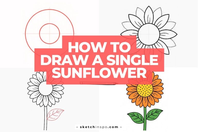 How To Draw a Single Sunflower