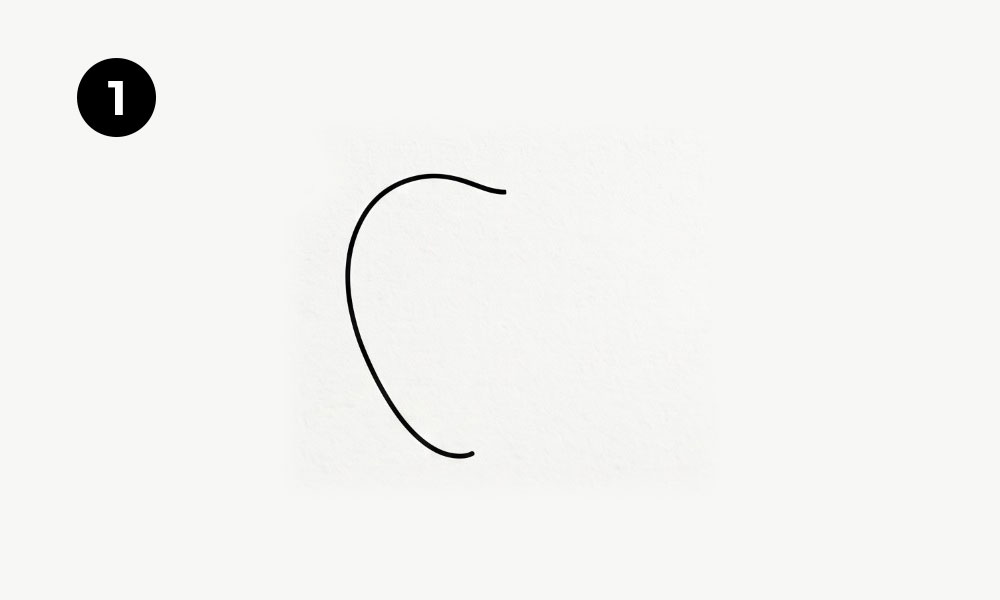 Step 1. Draw the First Curve