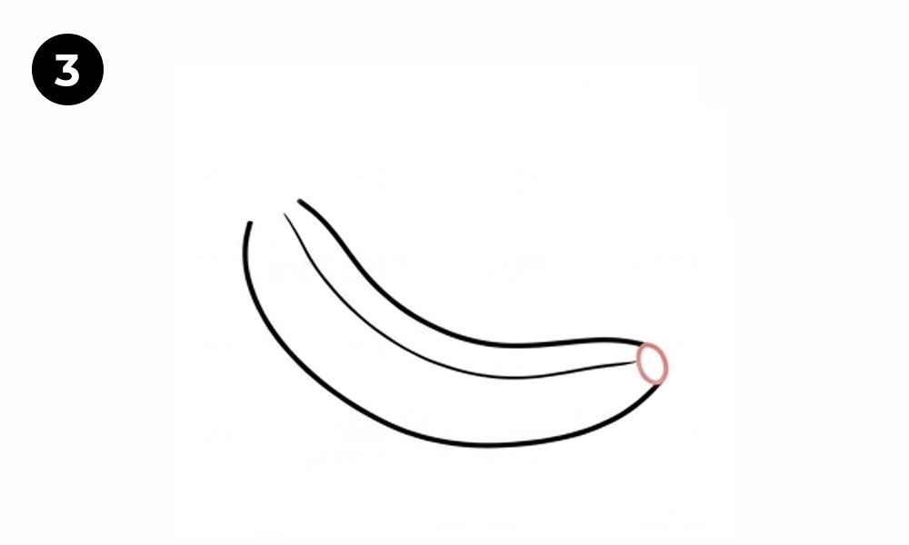 Step 3. Add the Inner Curve and Tip
