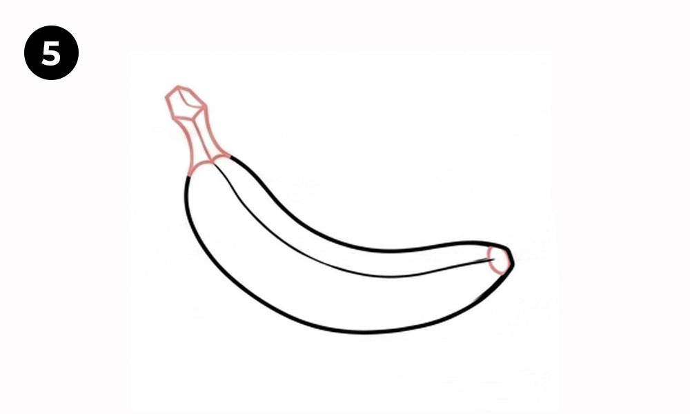 Step 5. Draw the Banana Stem