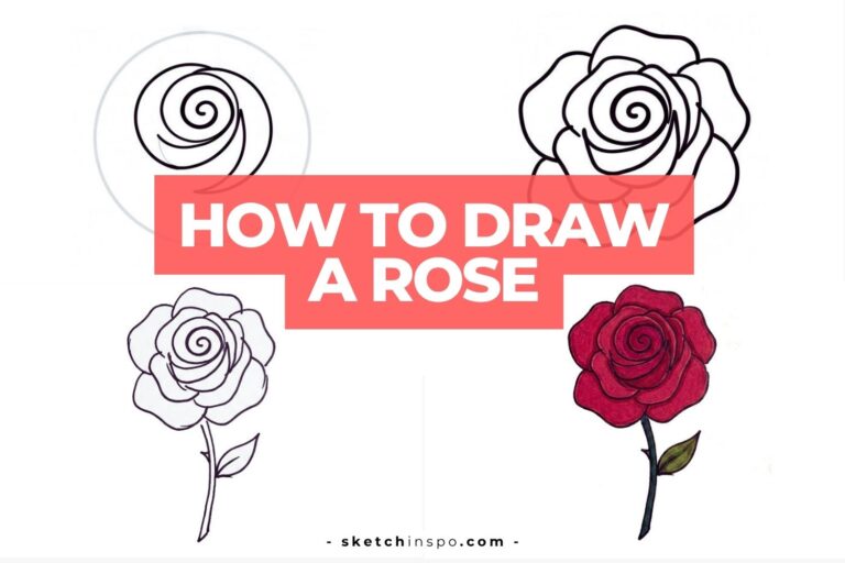 How To Draw a Rose