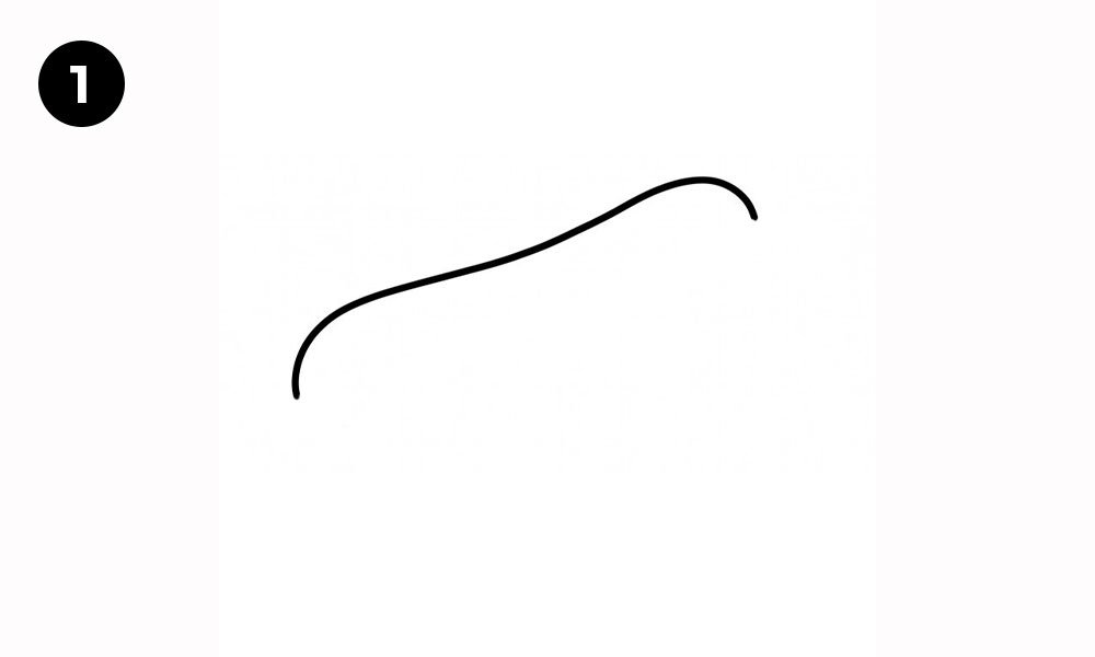 Step 1: Draw the Top Curve of the Bun